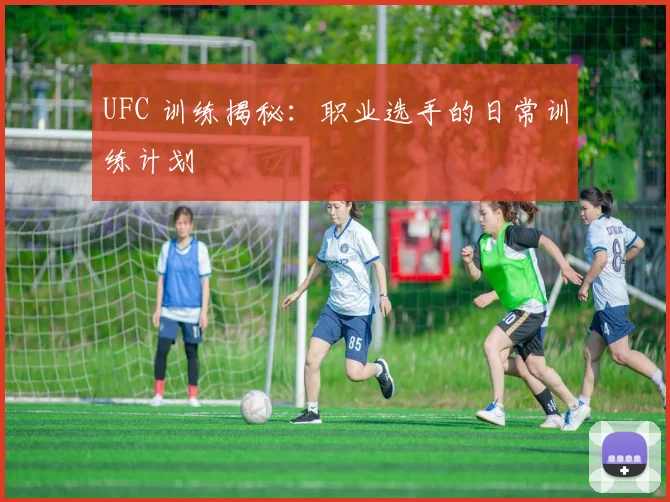 UFC 训练揭秘:职业选手的日常训练计划