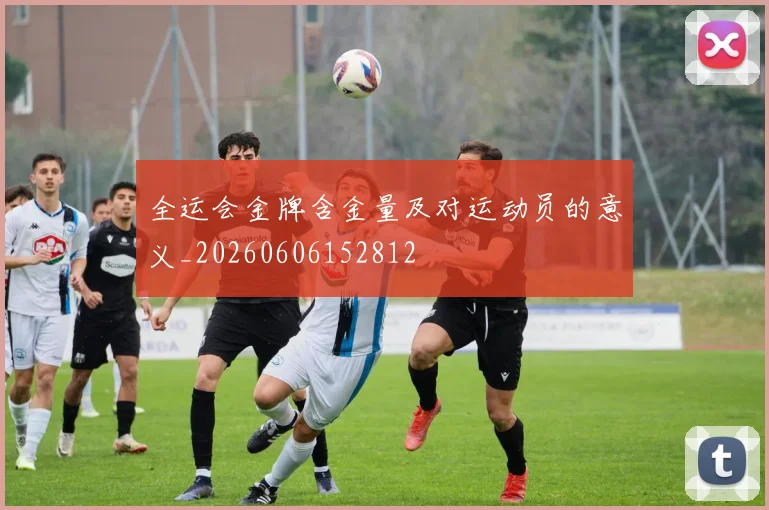 全运会金牌含金量及对运动员的意义_20260606152812