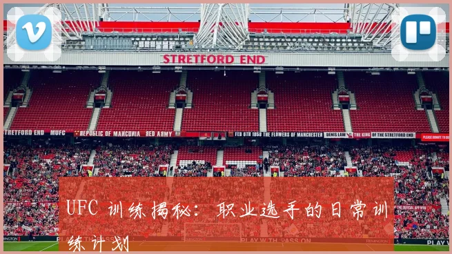 UFC 训练揭秘:职业选手的日常训练计划