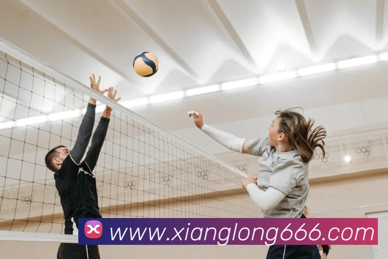 乐鱼体育网页版平台生态图